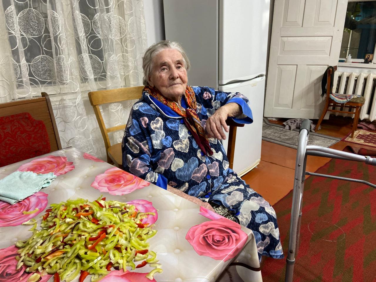 Территориальным Комплексным центром Кизляра и Кизлярского района в рамках программы «Долговременный уход» с января 2025 года оказано более 170 тыс. услуг пожилым и инвалидам